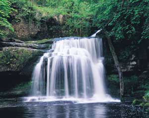 Water Treatment